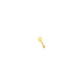 Gold Star Nose Stud
